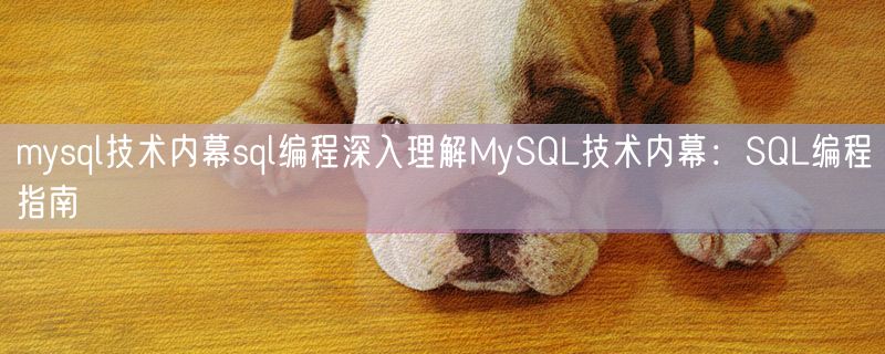 <strong>mysql技术内幕sql编程深入理解MySQL技术内幕：SQL编程指南</strong>