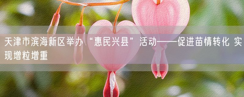 天津市滨海新区举办“惠民兴县”活动——促进苗情转化 实现增粒增重